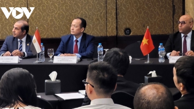 vietnam, egypt increase business connectivity, seize opportunities picture 1