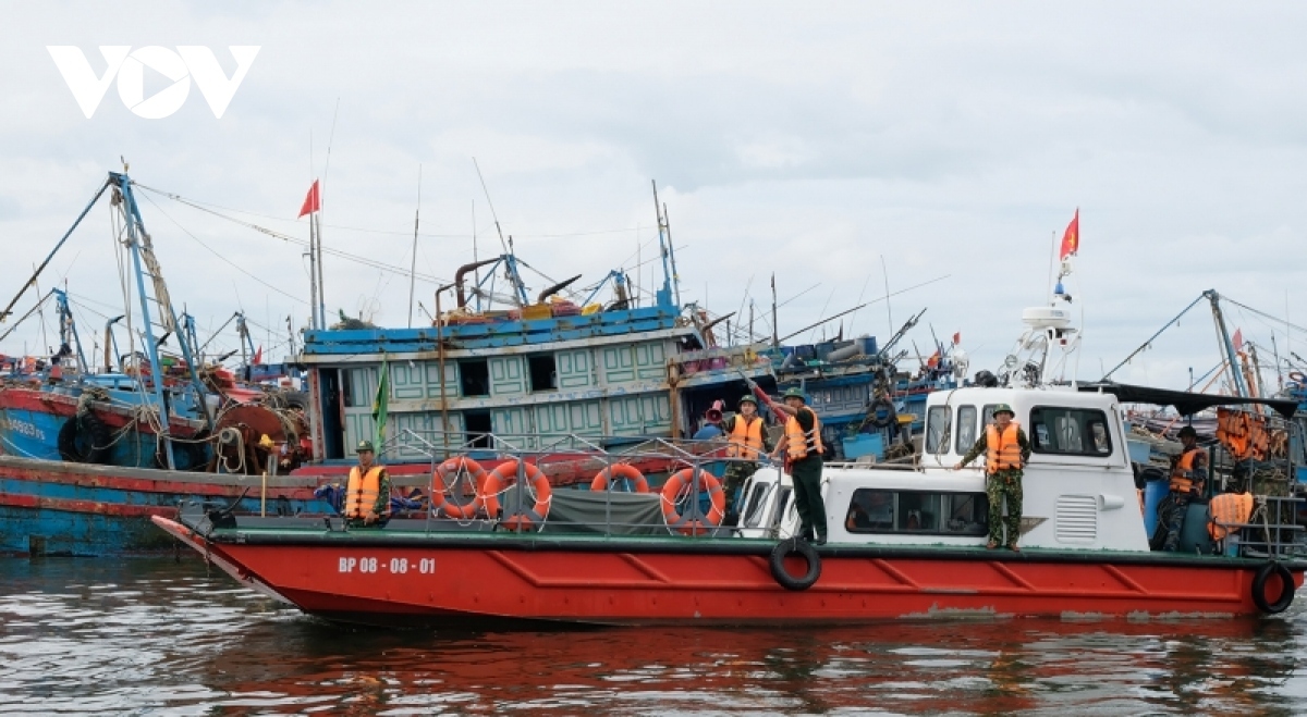 Đà Nẵng cưỡng chế 234 thuyền viên rời tàu lên bờ tránh bão