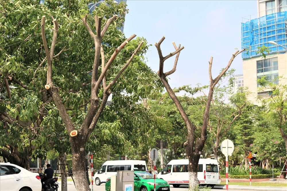 Đà Nẵng chủ động ứng phó với bão Noru
