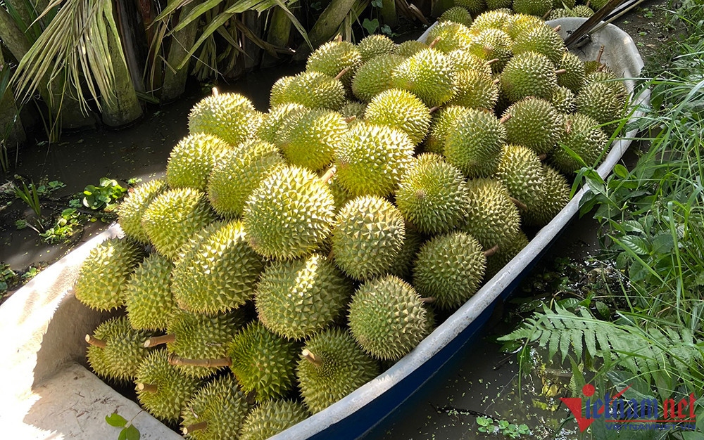 chinese fond of branded produce, but vietnam s durian remains unknown picture 1