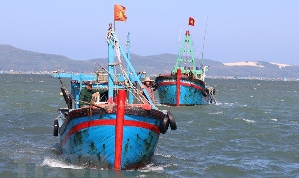 vietnam maintains efforts to fight iuu fishing picture 1