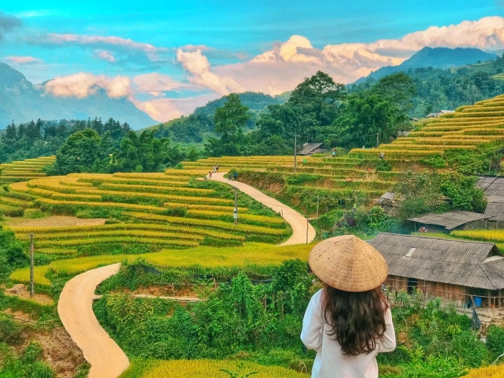 discovering golden paddy fields in northern region this autumn picture 2