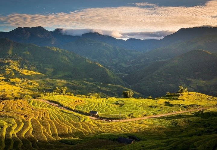 discovering golden paddy fields in northern region this autumn picture 3