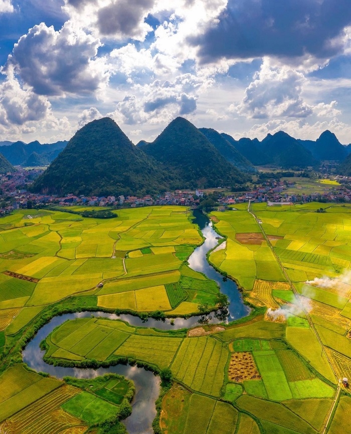 discovering golden paddy fields in northern region this autumn picture 7