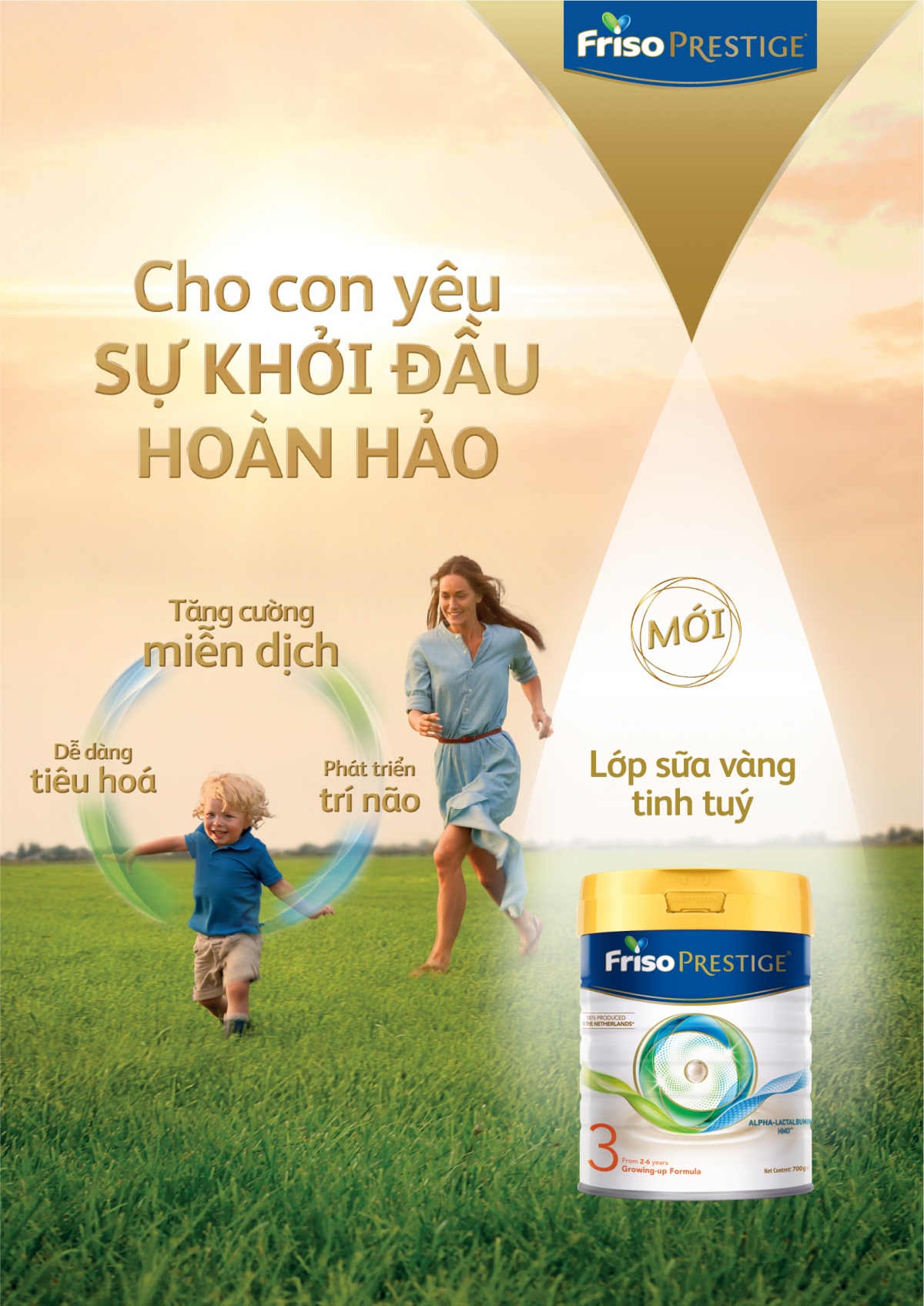 friso prestige voi cong thuc dinh duong lop sua vang tang cuong mien dich hinh anh 6