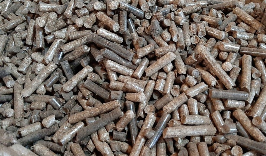 vietnam ranks second globally for wood pellet exports picture 1