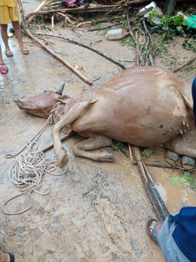 nghe an khac phuc thiet hai do mua lu o ky son hinh anh 3