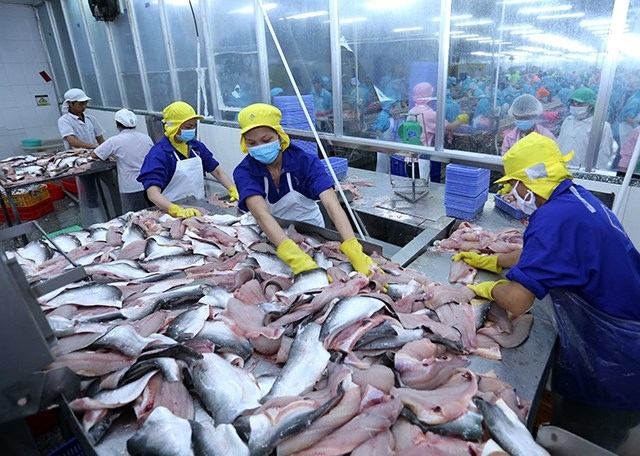 us maintains anti-dumping duties on pangasius imported from vietnam picture 1