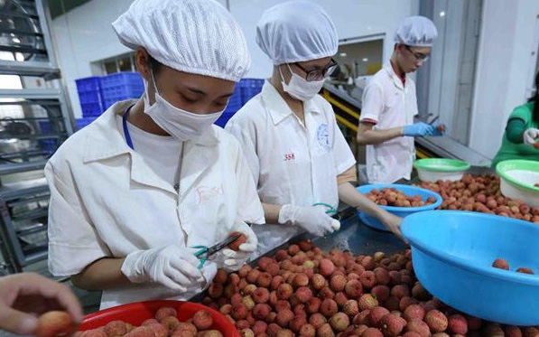 china set to increase agricultural imports from vietnamese market picture 1