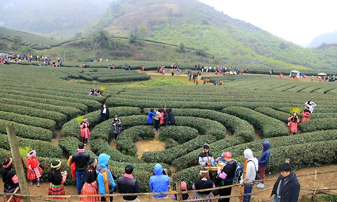 Tỉnh Sơn La đề xuất quy hoạch sân bay Mộc Châu trị giá 6.500 tỷ đồng