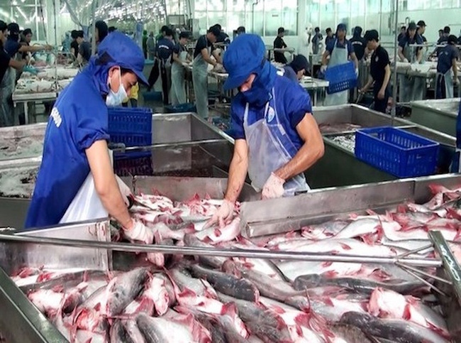 pangasius exports to uk market soar considerably over 8 months picture 1