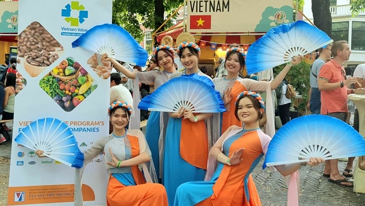 vietnamese culture introduced at embassy festival in netherlands picture 1