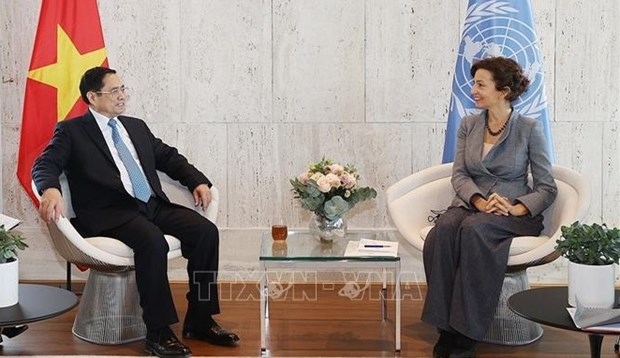 unesco director general hails vietnam as effective cooperation model picture 1 unesco director general hails vietnam as effective cooperation model picture 1