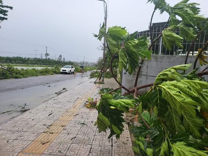 giai bong da nu vDqg 2022 phong phu ha nam thang nhoc tp.hcm ii hinh anh 1