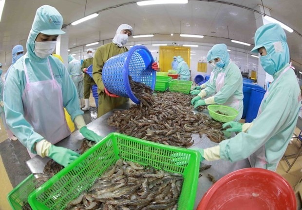 shrimp export falling, tra fish up picture 1