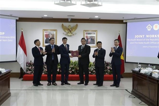 vietnam, indonesia share audit experience picture 1