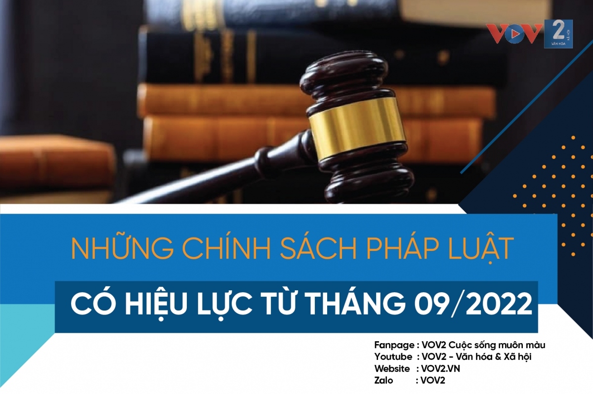 nhung chinh sach phap luat co hieu luc thang 9 2022 hinh anh 1