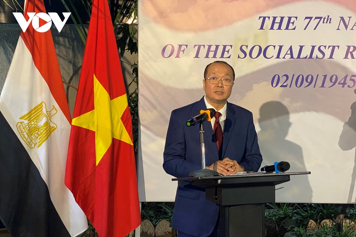 vietnam s national day celebrated in south africa, egypt picture 2