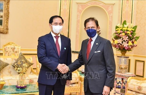 vietnam an important partner of brunei sultan haji hassanal bolkiah picture 1