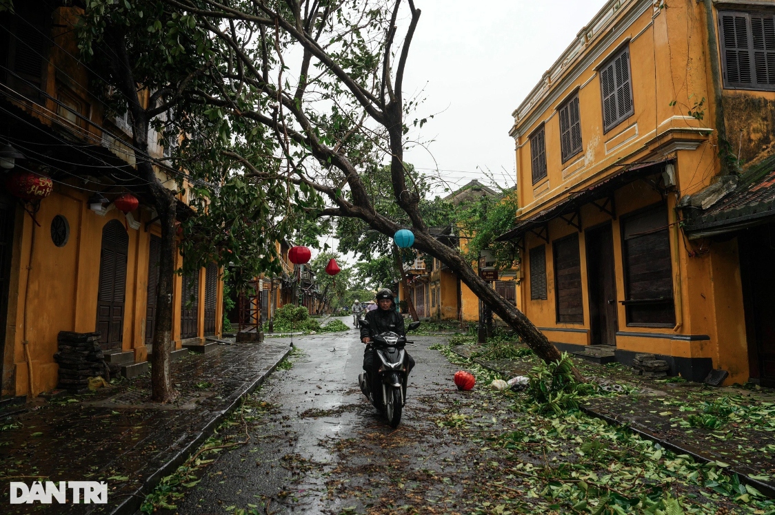 du khach bang hoang khi tan mat thay pho co hoi an tan hoang sau bao hinh anh 10