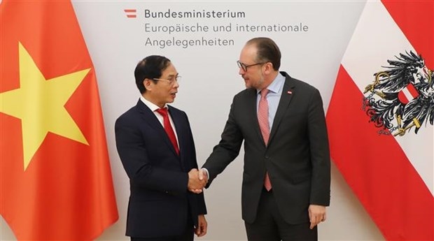 foreign minister bui thanh son pays official visit to austria picture 1