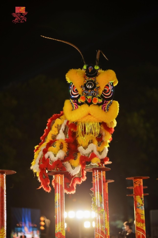 lion dance festival excites crowds in thua thien-hue picture 3
