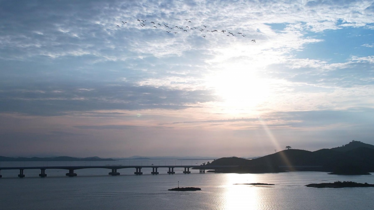 admiring sunrise over van don-mong cai expressway picture 9