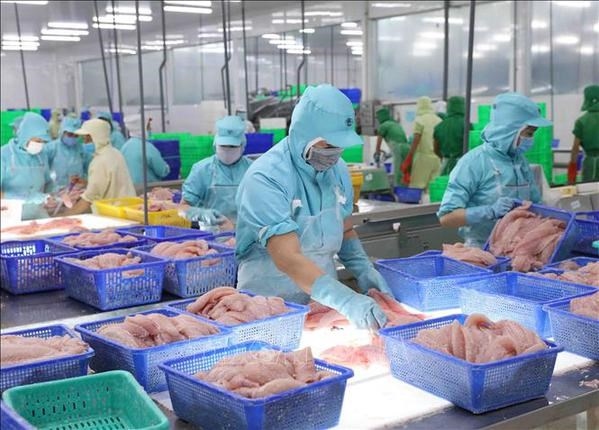 cptpp holds potential for vietnam s tra fish exports picture 1