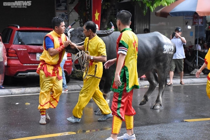 van nguoi doi mua, chen chan ve xem le hoi choi trau Do son, hai phong hinh anh 1