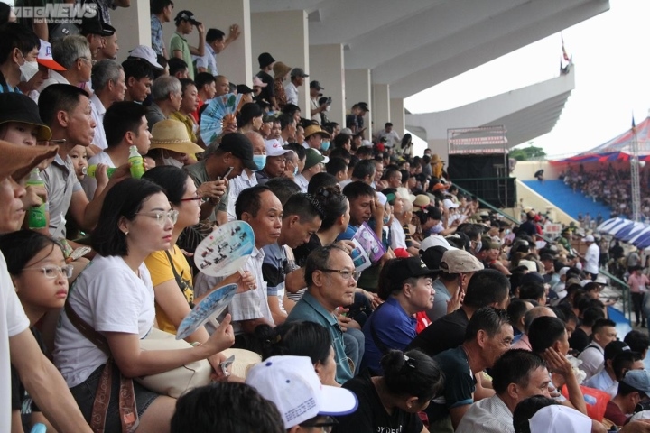 van nguoi doi mua, chen chan ve xem le hoi choi trau Do son, hai phong hinh anh 9