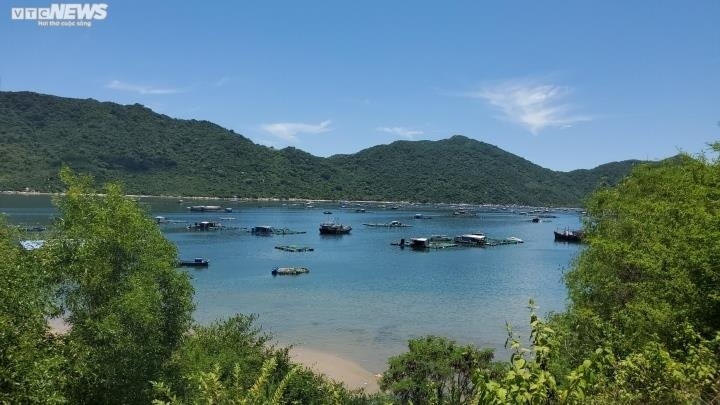 phu yen vung ro thanh vung... rac hinh anh 5