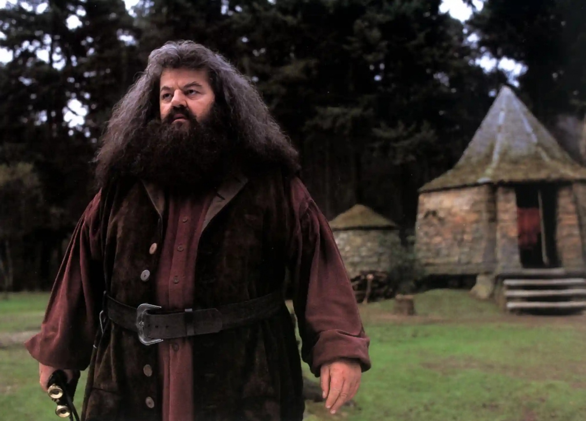 nhung dau an trong su nghiep cua robbie coltrane tu james bond den harry potter hinh anh 9