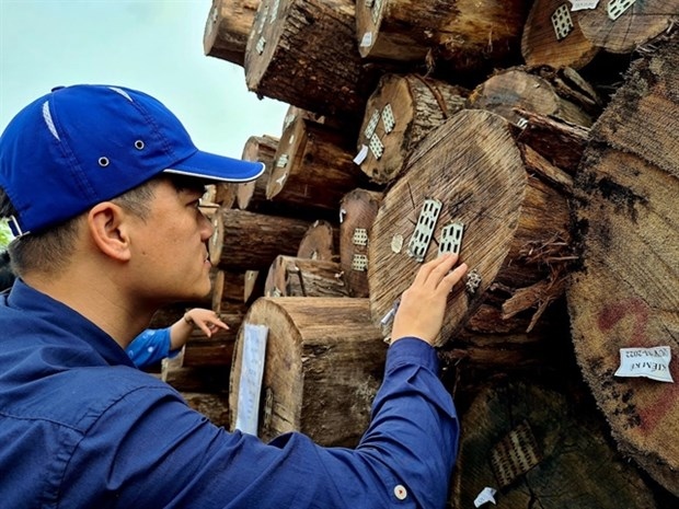 huge potential for vietnam s timber exports picture 1