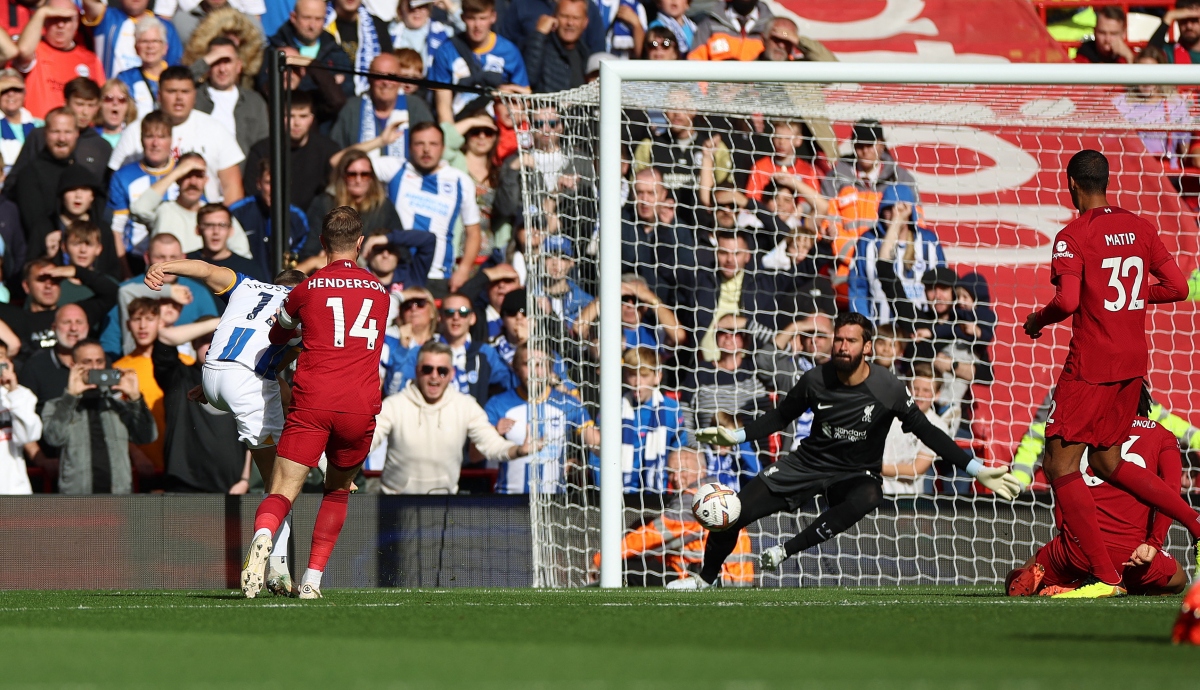 trossard lap hat-trick, brighton chia diem nghet tho tren san liverpool hinh anh 5