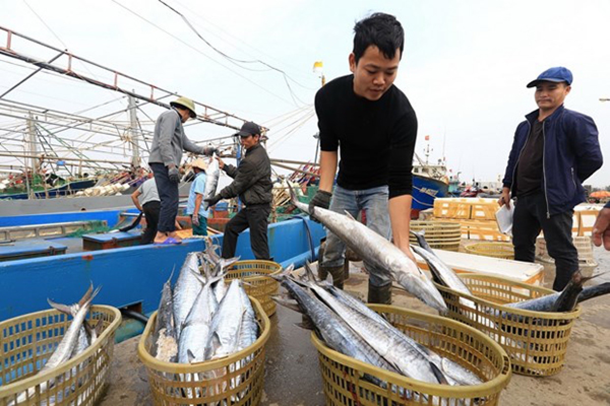 vietnam steps up greater illegal fishing eradication efforts thai news site picture 1