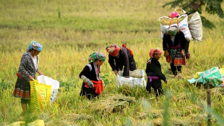 vietnam prioritises economic growth associated with caring for the poor picture 1