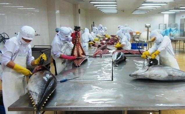 tuna exports to gross us 1 billion this year picture 1