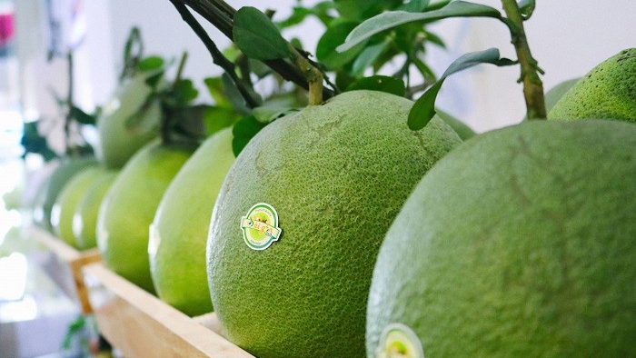 Điểm danh 7 loại trái cây Việt Nam được phép nhập khẩu vào Hoa Kỳ