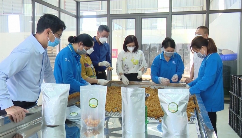 Doanh nhân đồng hành đưa nông sản vươn xa