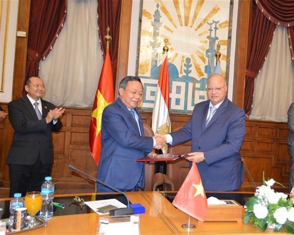 vietnam, egypt eye closer collaboration picture 1