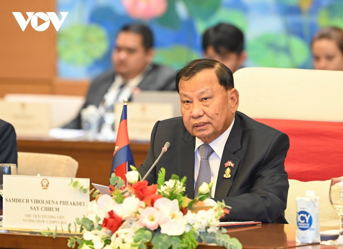 top vietnamese legislator holds talks with cambodian senate president picture 2