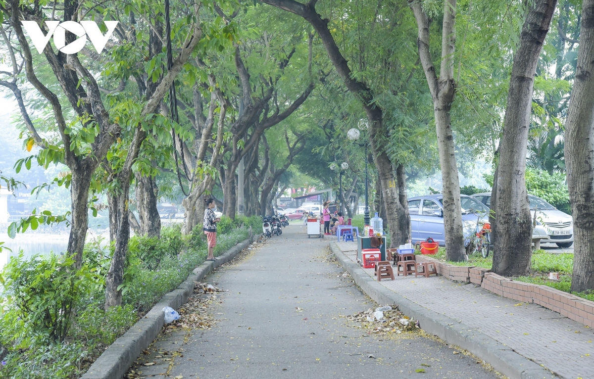 chuyen gia hien ke lam song lai cong vien o ha noi hinh anh 3