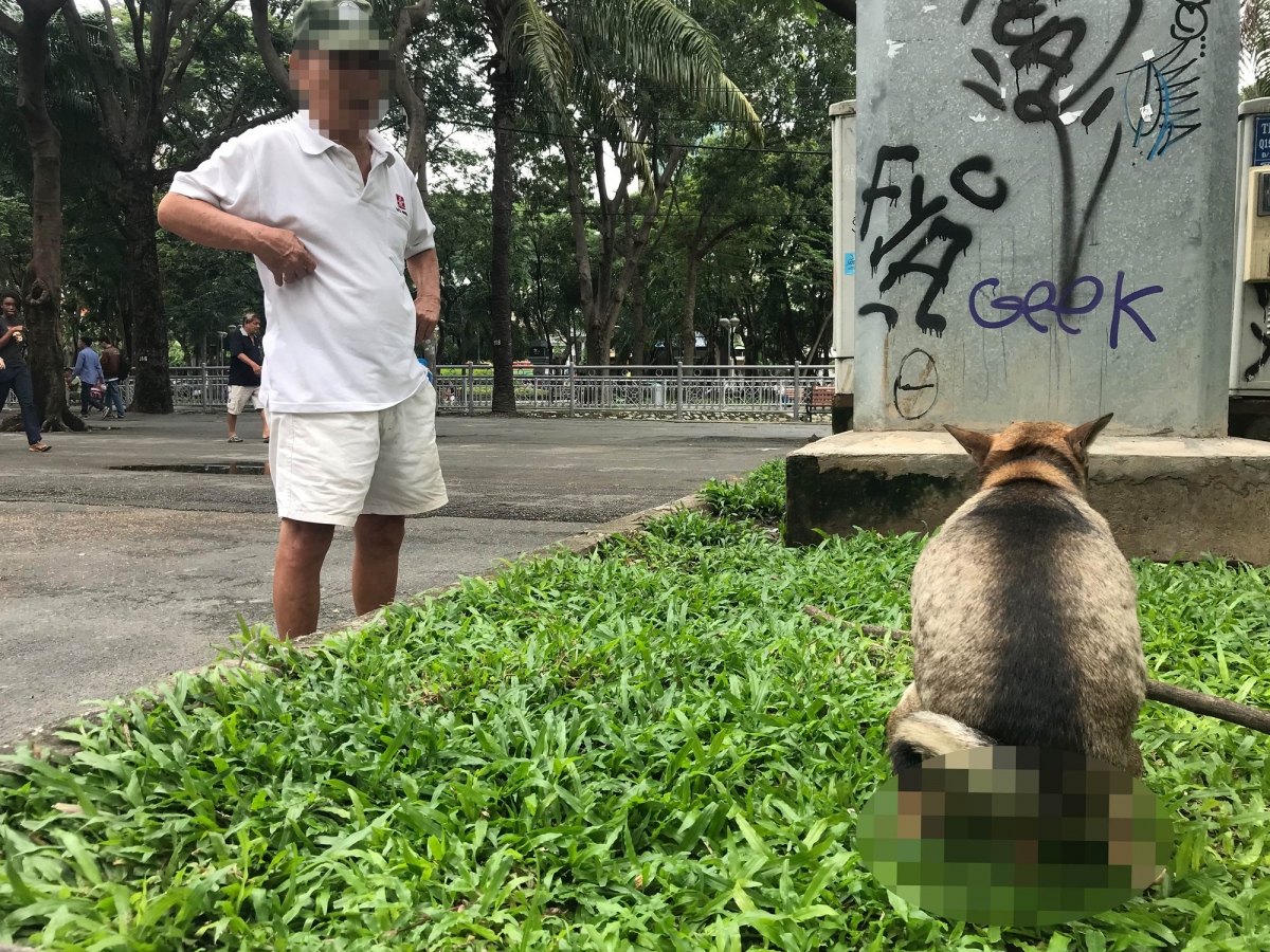 ngan ngam vi y thuc kem cua nhung chu nuoi thu cung hinh anh 2