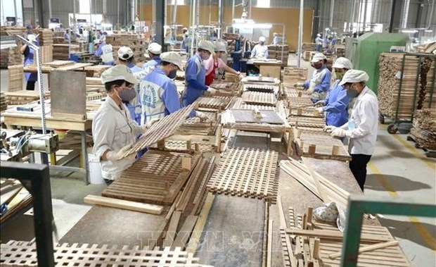 vietnam should make most of golden time to boost exports to eu diplomat picture 1