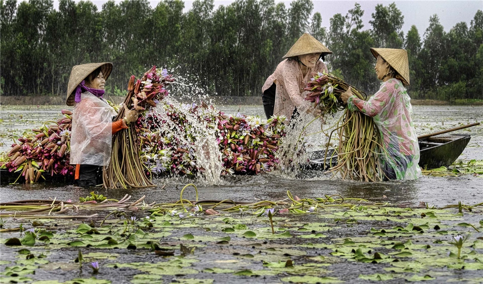photo exhibition celebrates vietnamese women s day picture 2