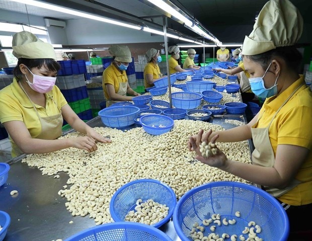 cptpp helps boost vietnam-malaysia trade ties picture 1