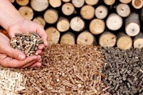 exports of forestry waste products likely to rake in billions of us dollar picture 1 exports of forestry waste products likely to rake in billions of us dollar picture 1