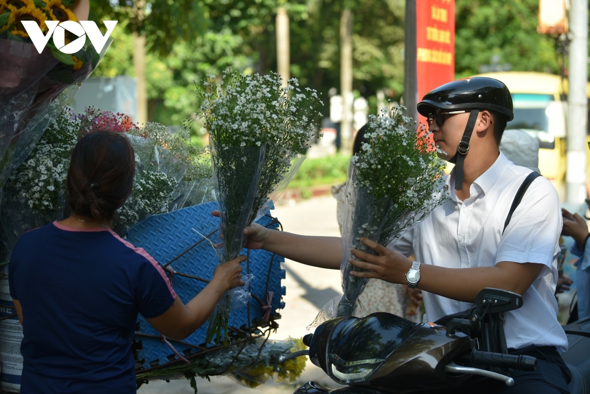admiring beauty of forget-me-not flowers on streets of hanoi picture 9