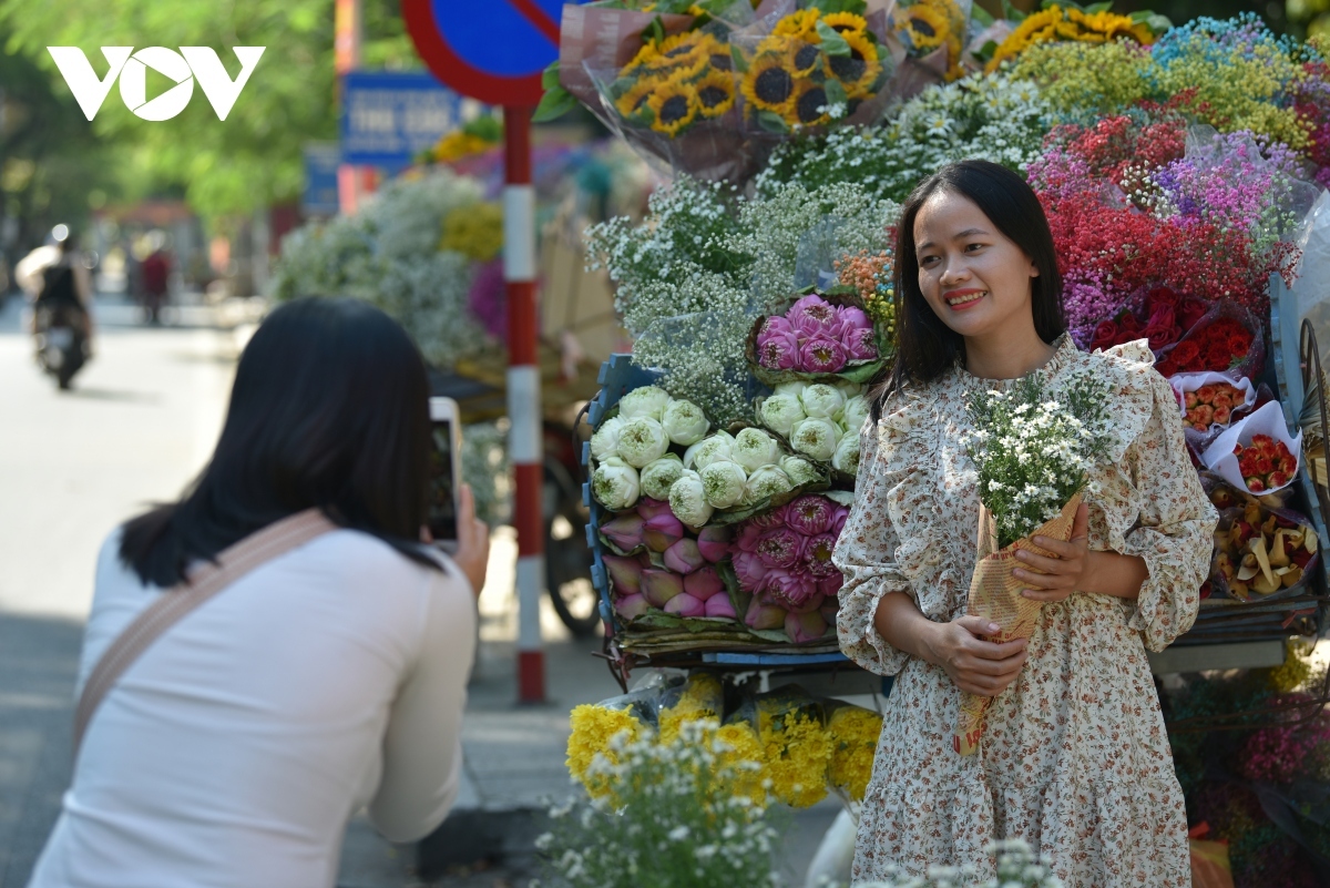 admiring beauty of forget-me-not flowers on streets of hanoi picture 6