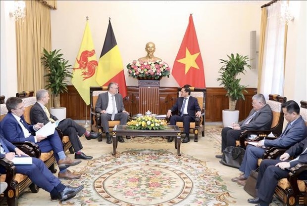 foreign minister hails wallonie-bruxelles support for vietnam picture 1